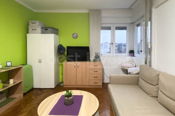Charming Renovated Studio Apartment in Prime Location in Zagreb Croatia